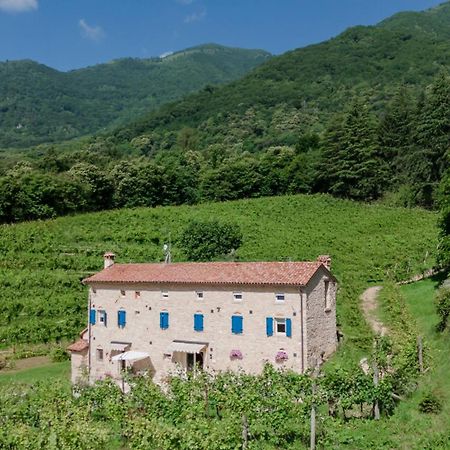Agriturismo Podere Del Bosc Valmareno Exteriör bild