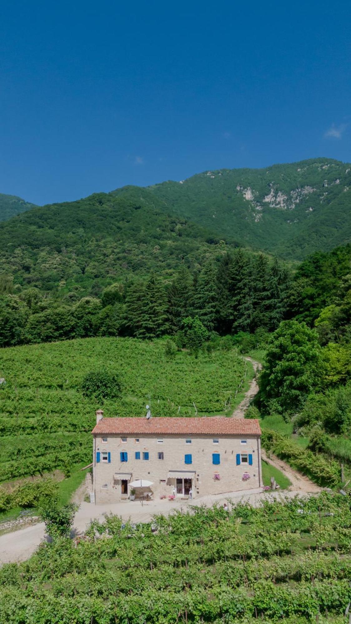 Agriturismo Podere Del Bosc Valmareno Exteriör bild